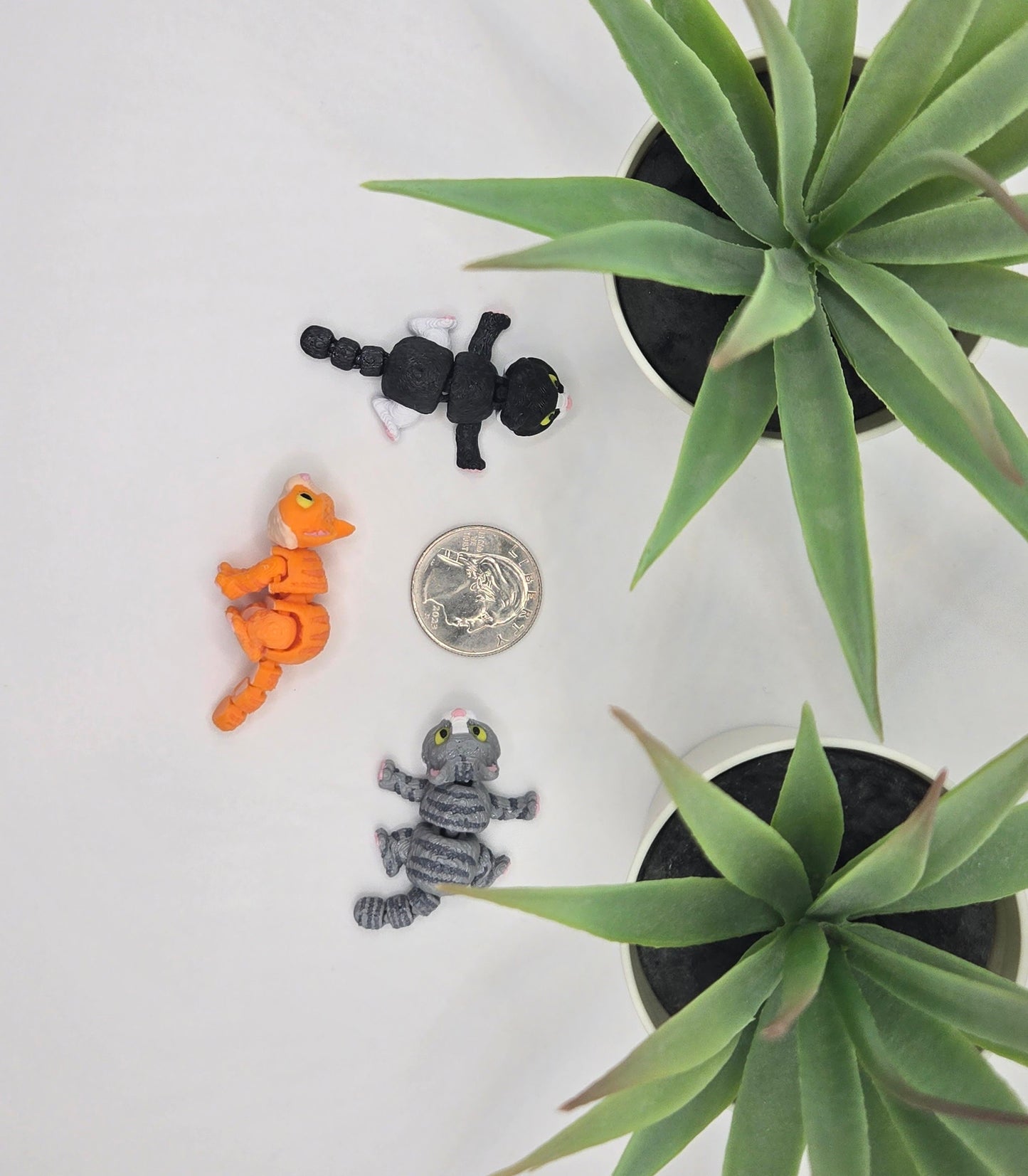 Cat Fidget Animal