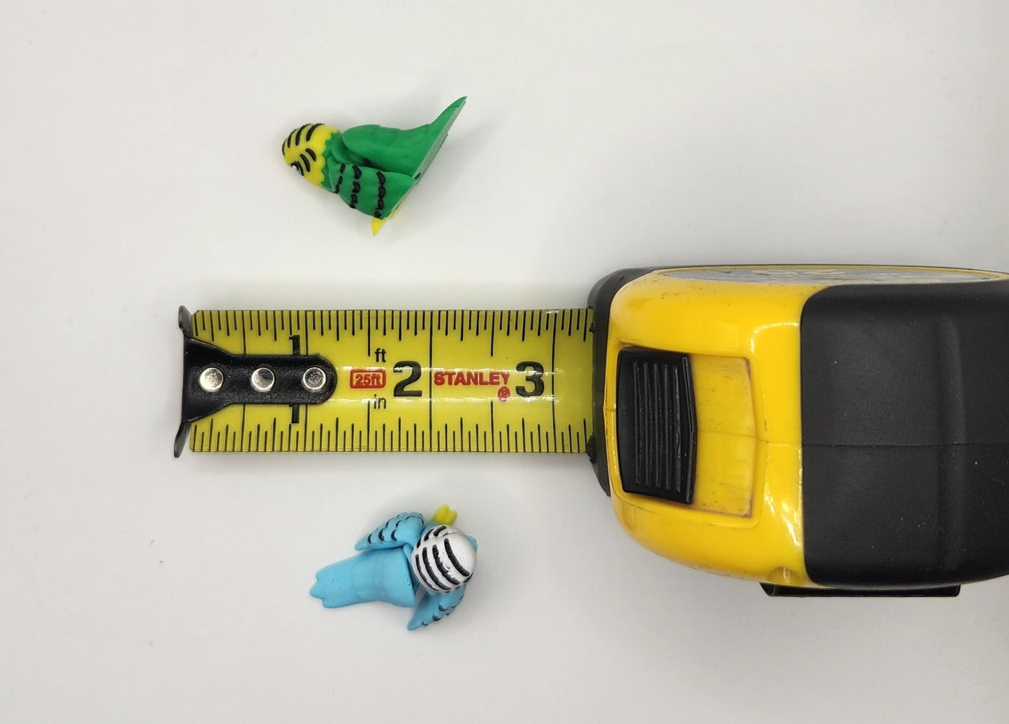 Parakeet Fidget Animal
