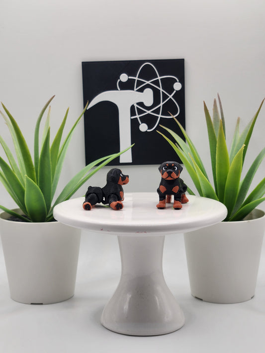 Rottweiler Dog Fidget Animal
