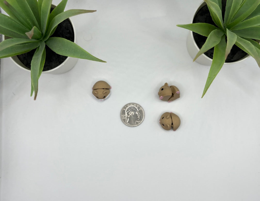 Hamster Fidget Animal