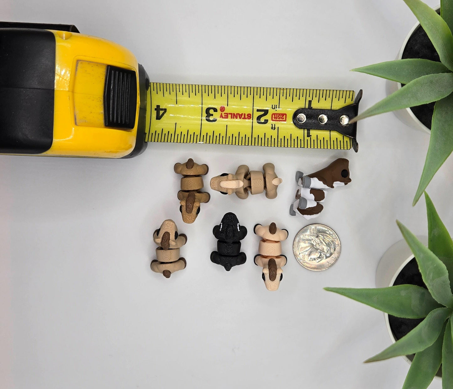 Horse Fidget Animal