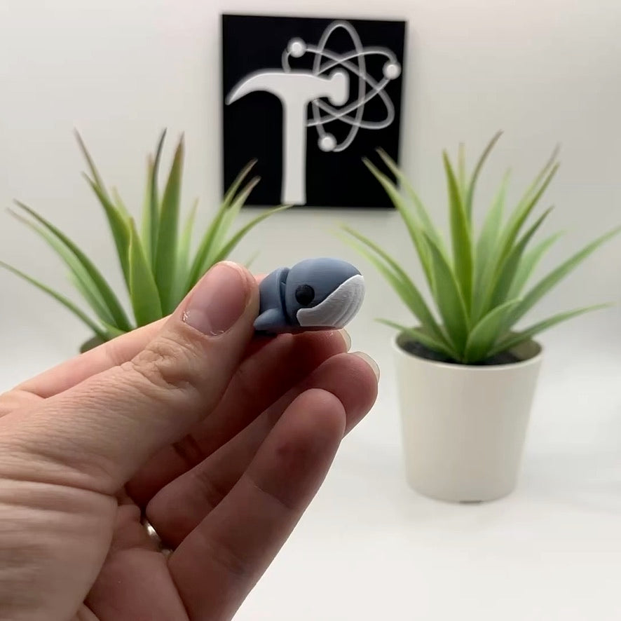 Whale Fidget Animal