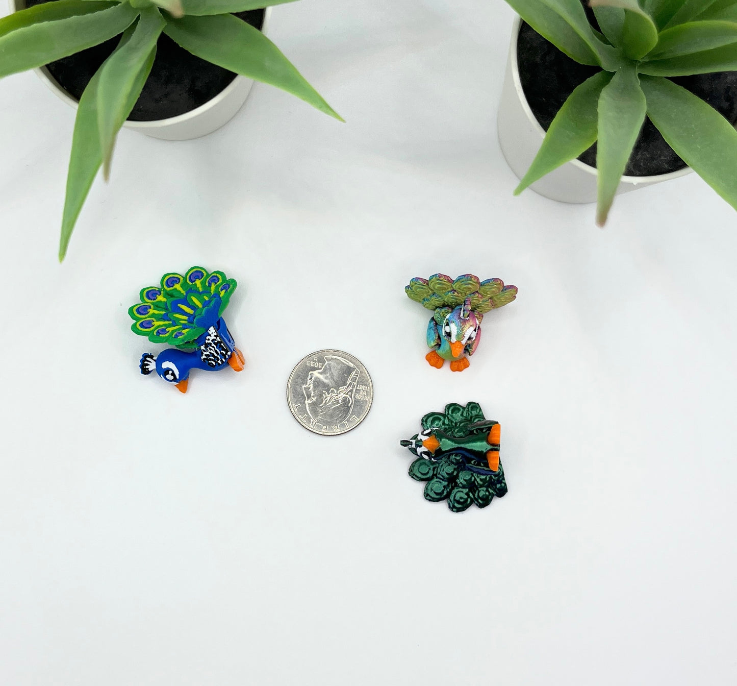 Peacock Parrot Fidget Animal