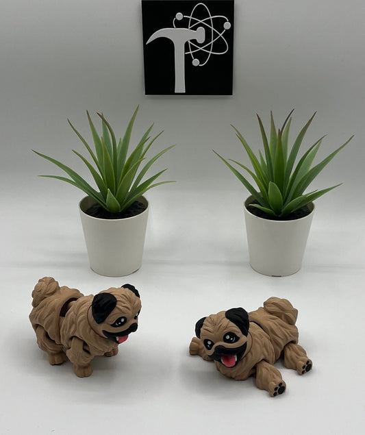 Pekingese Dog Fidget Animal