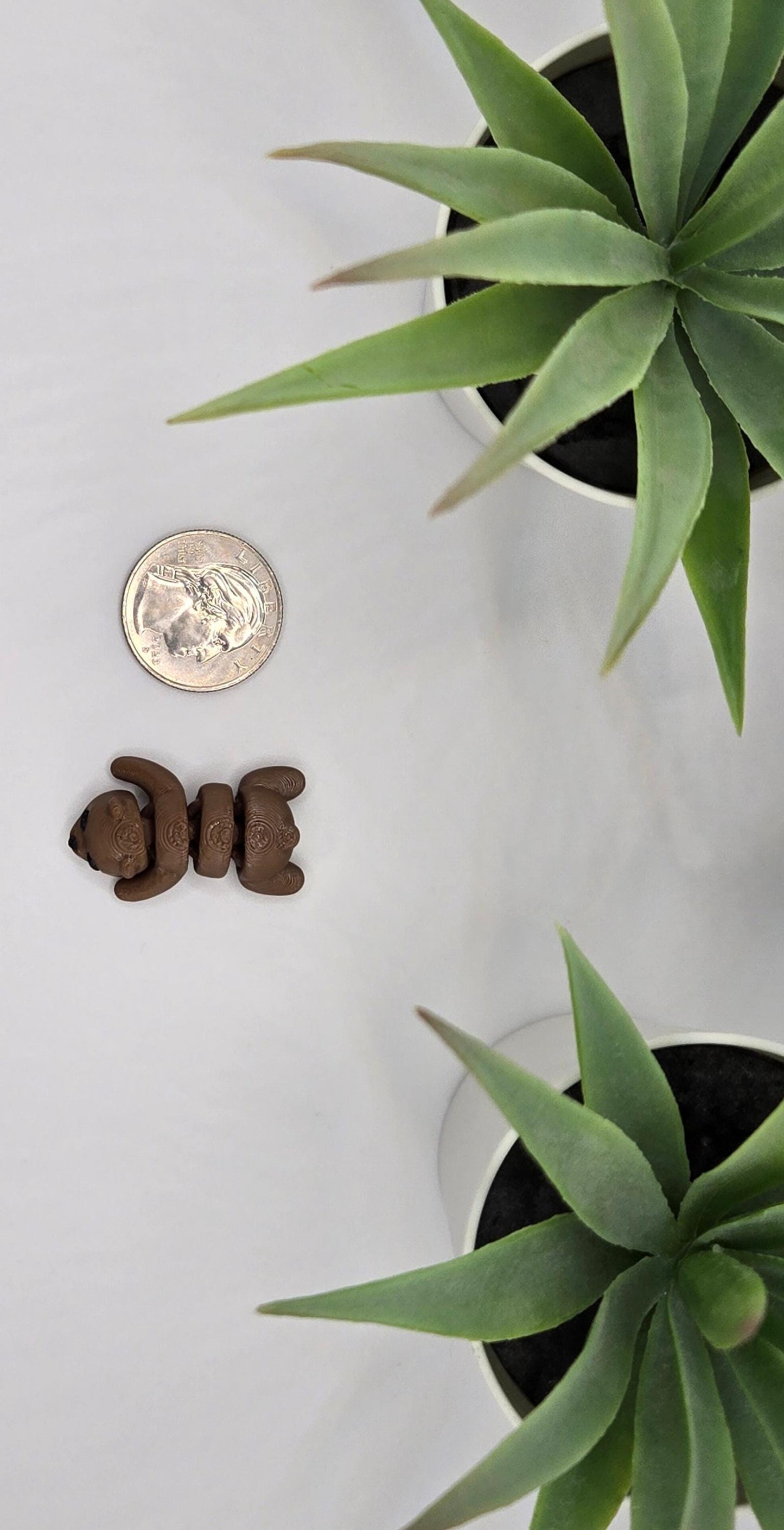 Bear Fidget Animal