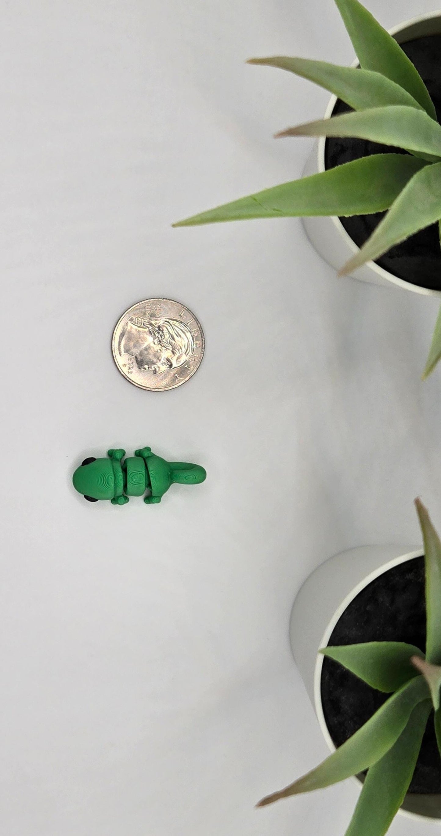 Chameleon Fidget Animal