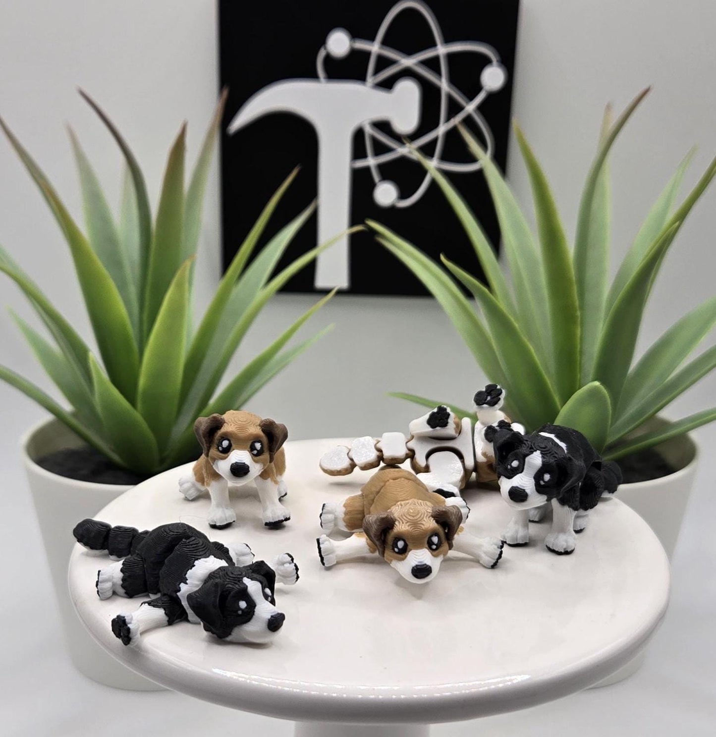 Dog Fidget Animal