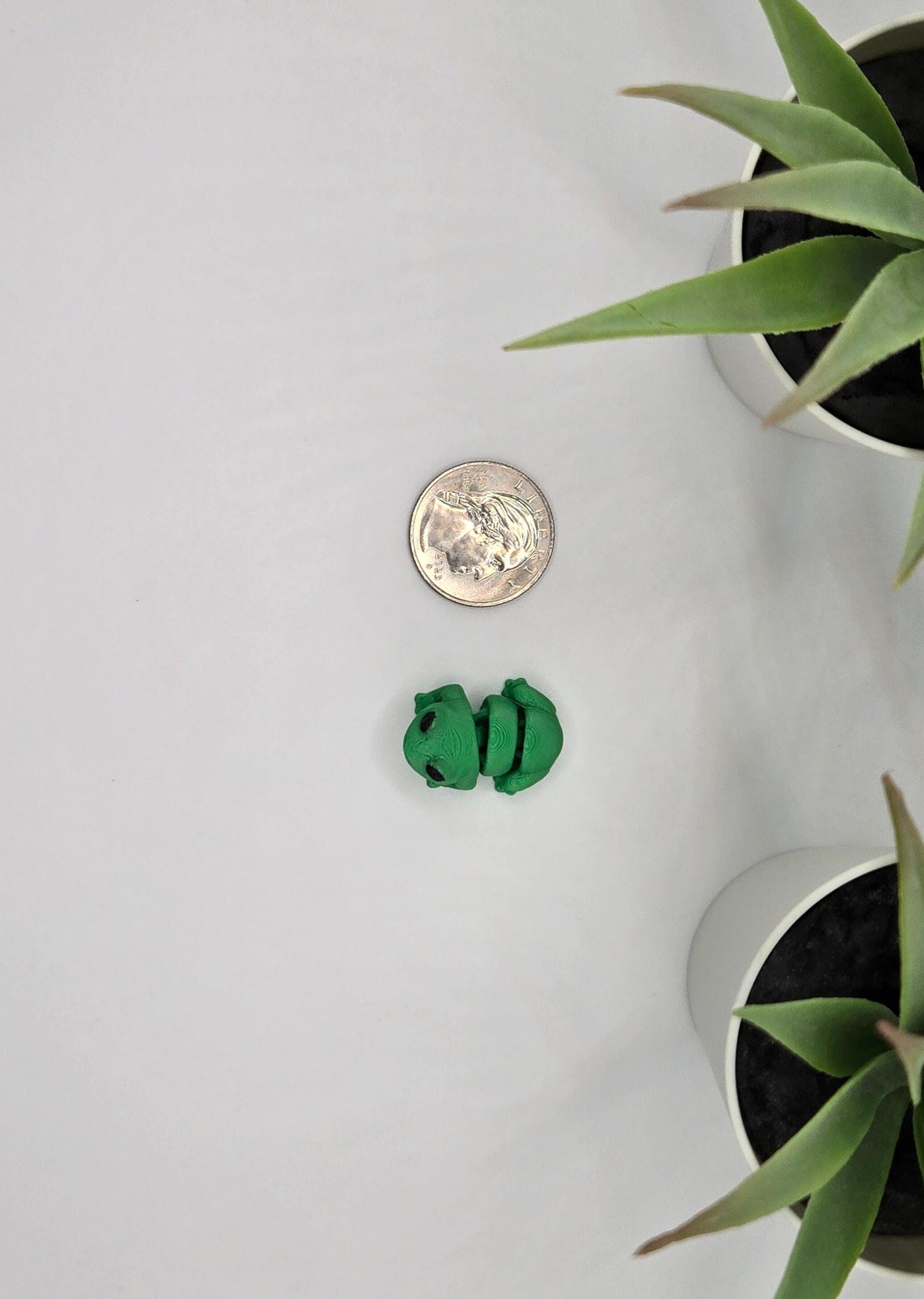 Frog Fidget Animal