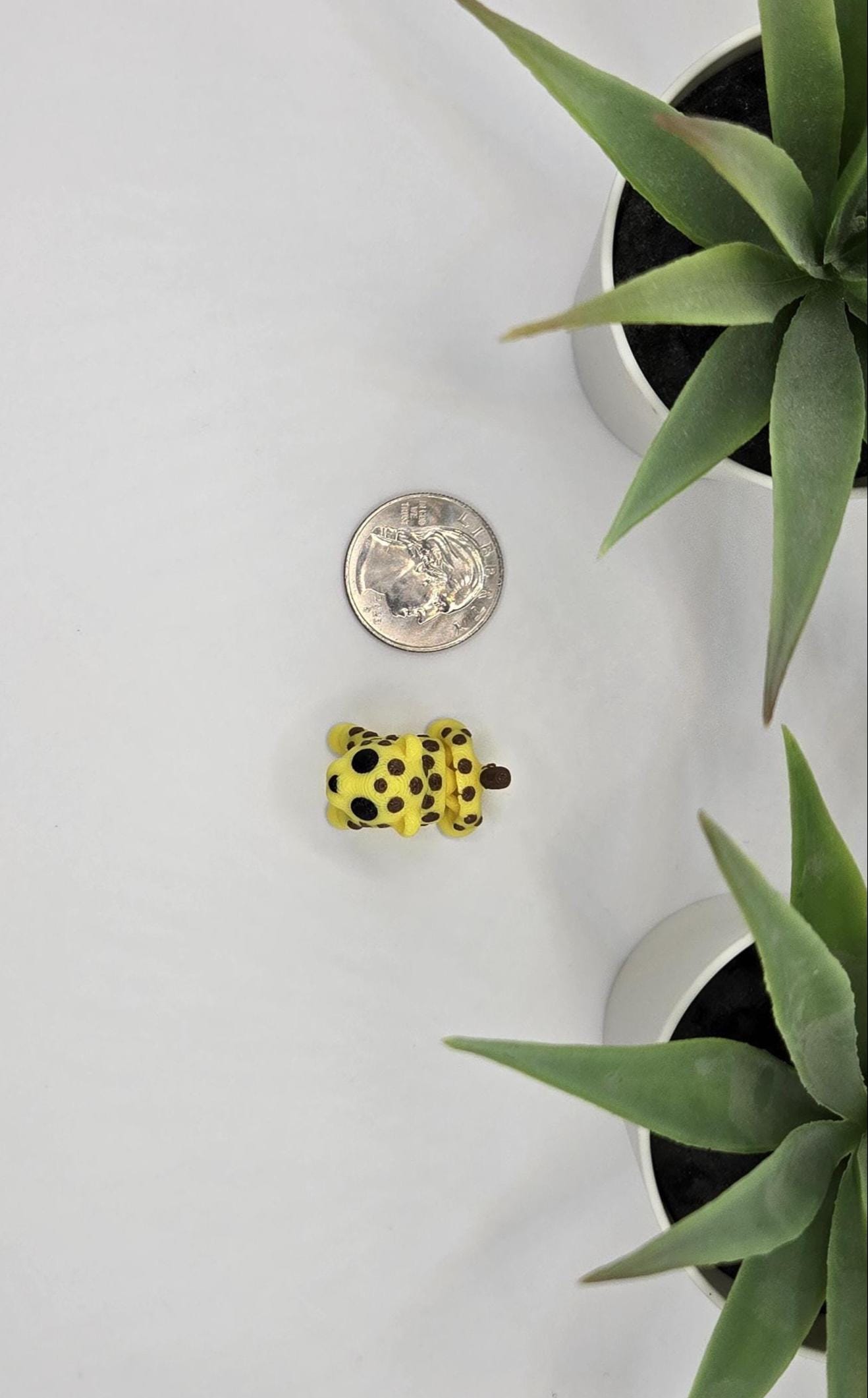 Leopard Fidget Animal