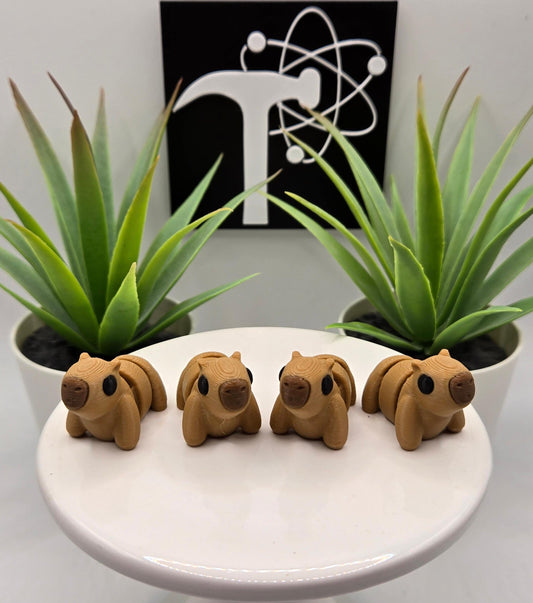 Capybara Fidget Animal