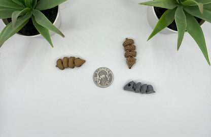 Armadillo Fidget Animal