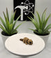 Beaver Fidget Animal