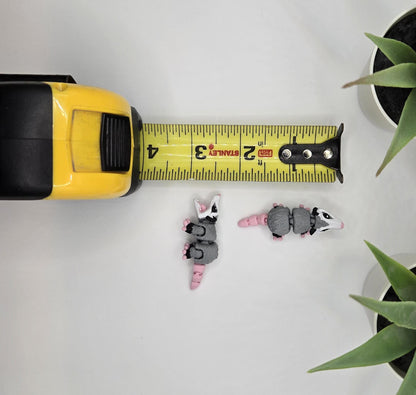 Opossum Fidget Animal