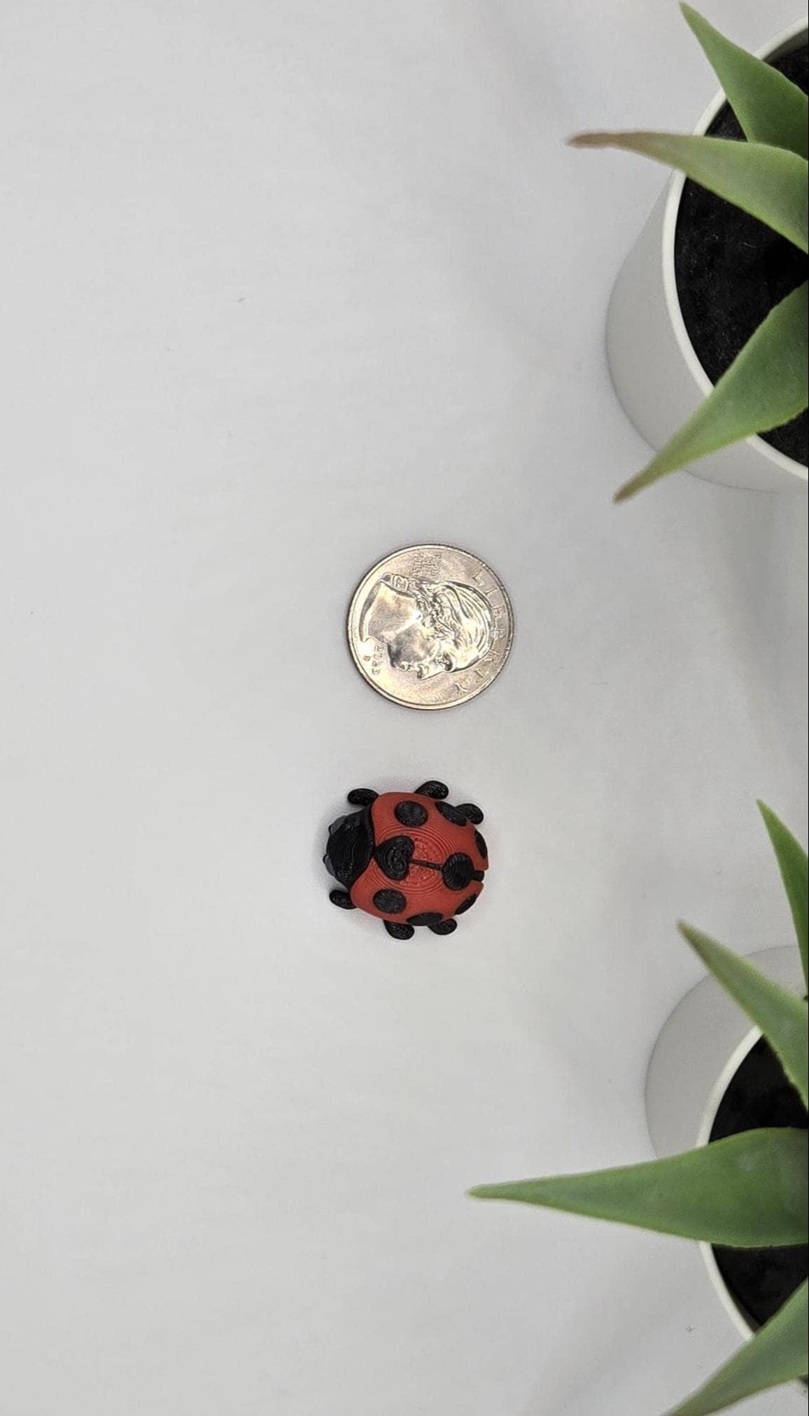 Ladybug Fidget Animal