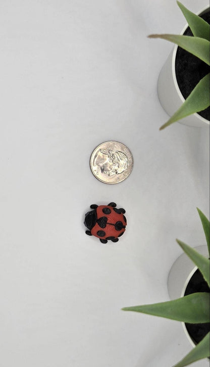 Ladybug Fidget Animal