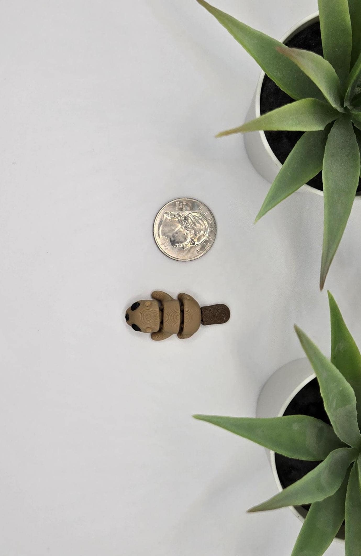 Beaver Fidget Animal