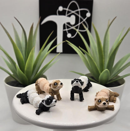 Ferret Fidget Animal