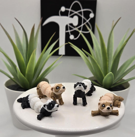 Ferret Fidget Animal