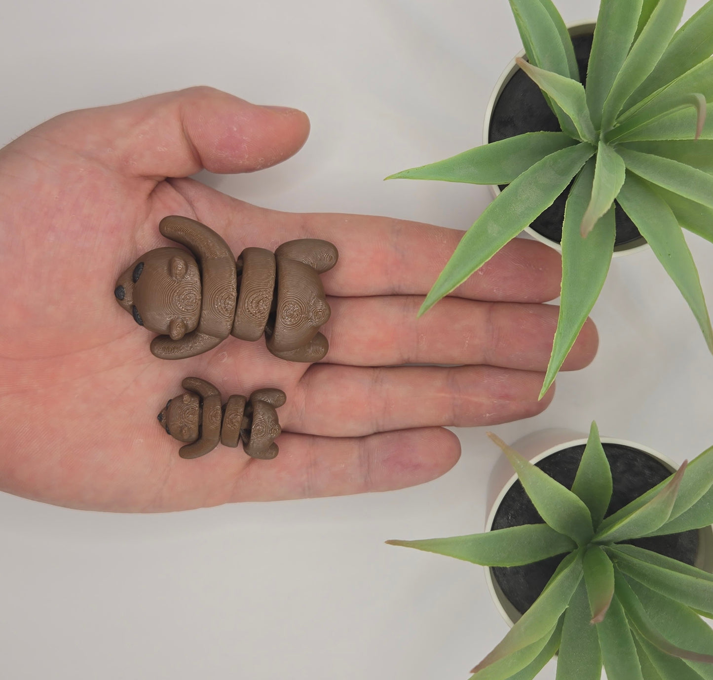 Brown Bear Storytime Set