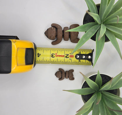 Brown Bear Storytime Set