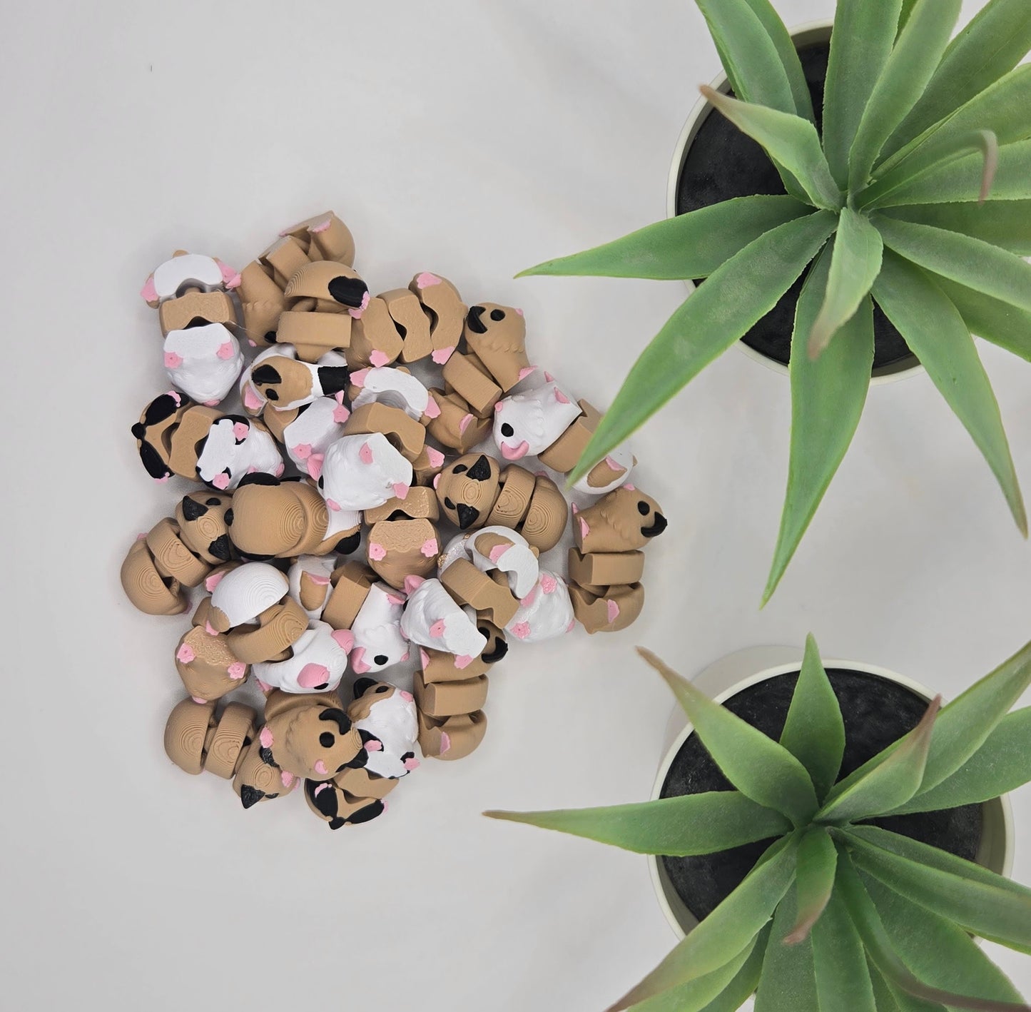 Guinea Pig Fidget Animal