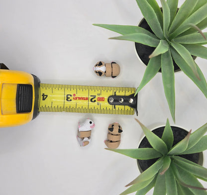 Guinea Pig Fidget Animal