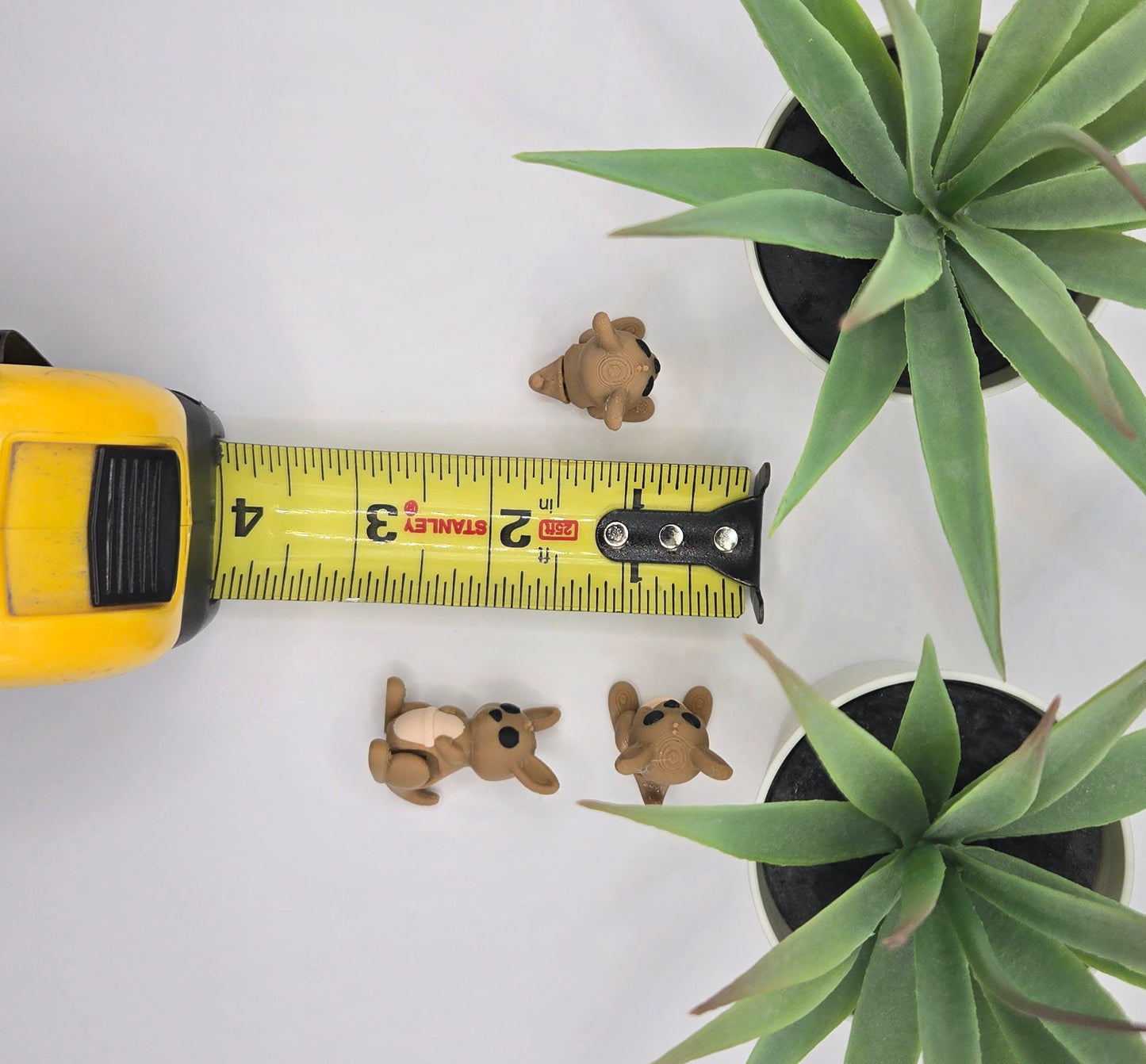 Kangaroo Fidget Animal