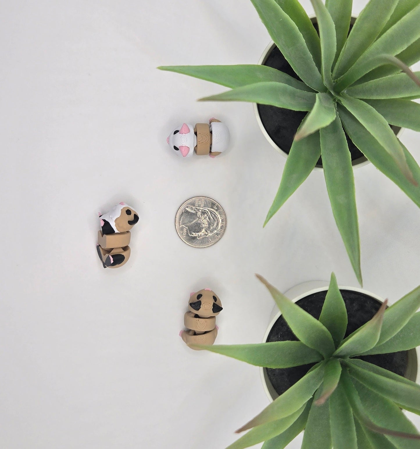 Guinea Pig Fidget Animal