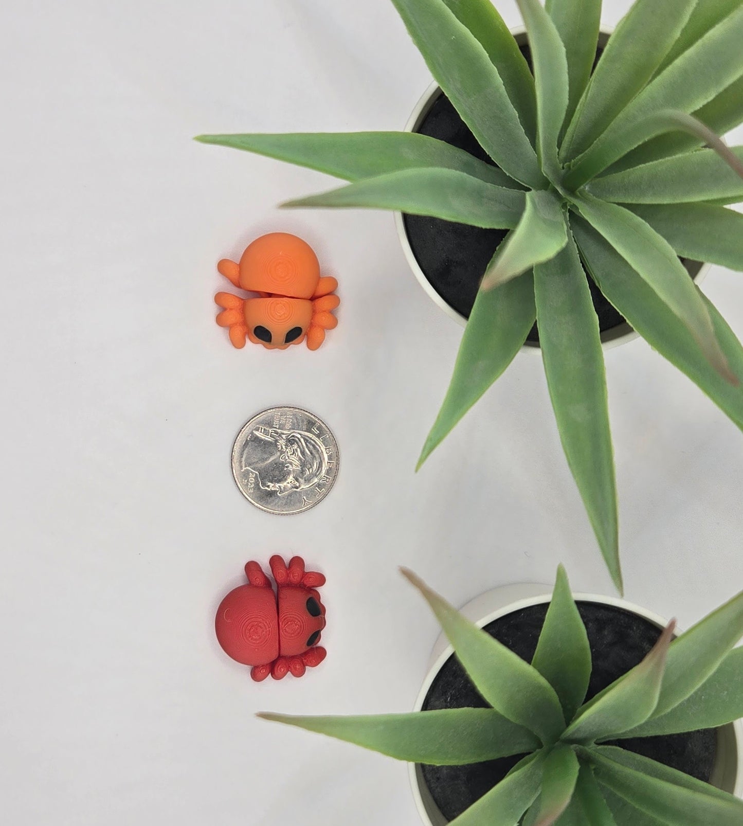 Spider Fidget Animal