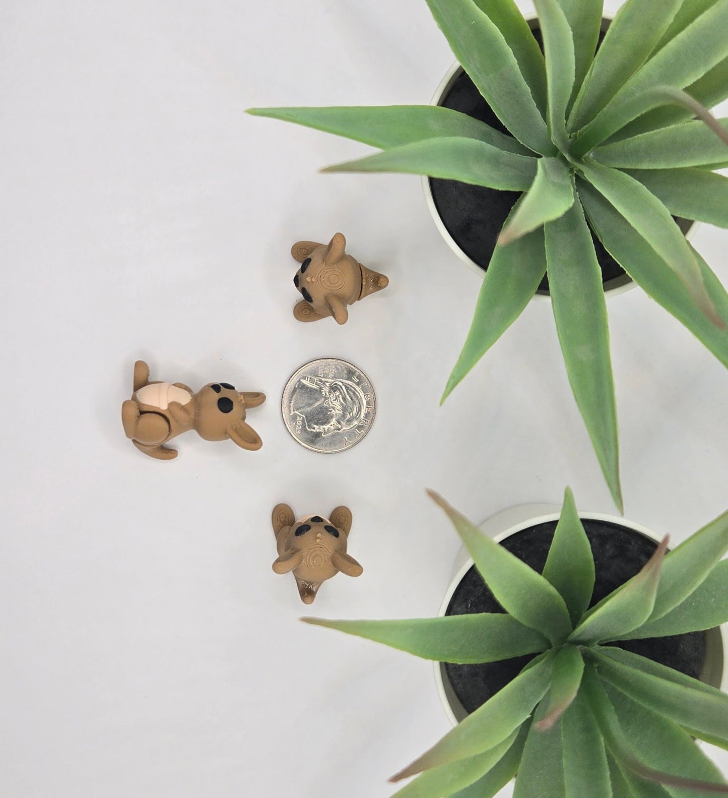 Kangaroo Fidget Animal