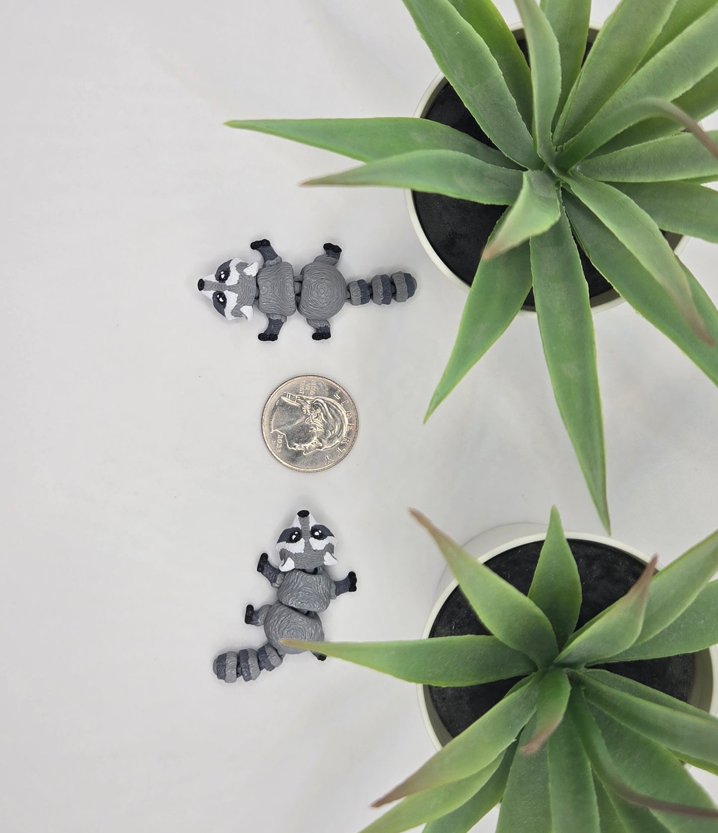 Raccoon Fidget Animal