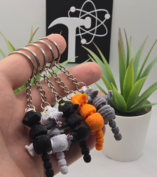 Cat Fidget Animal