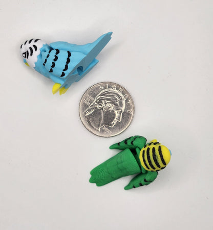 Parakeet Fidget Animal