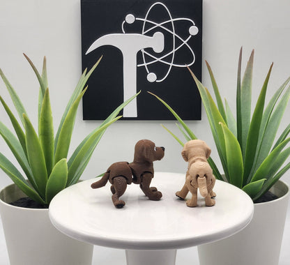 Labrador Retriever Dog Fidget Animal