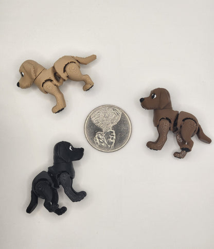 Labrador Retriever Dog Fidget Animal