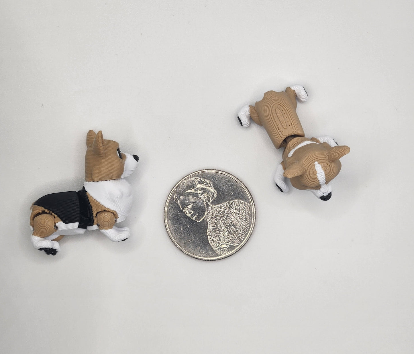 Corgi Dog Fidget Animal