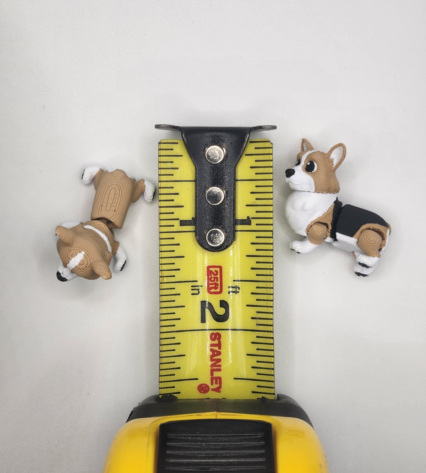 Corgi Dog Fidget Animal