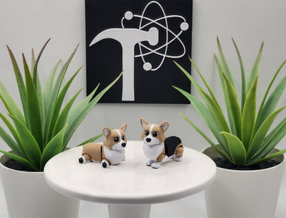 Corgi Dog Fidget Animal