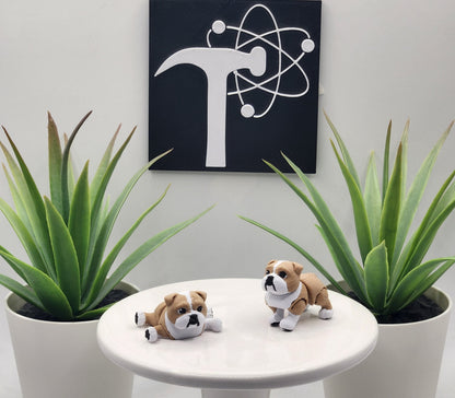 English Bulldog Dog Fidget Animal