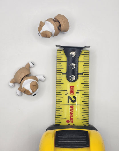 English Bulldog Dog Fidget Animal