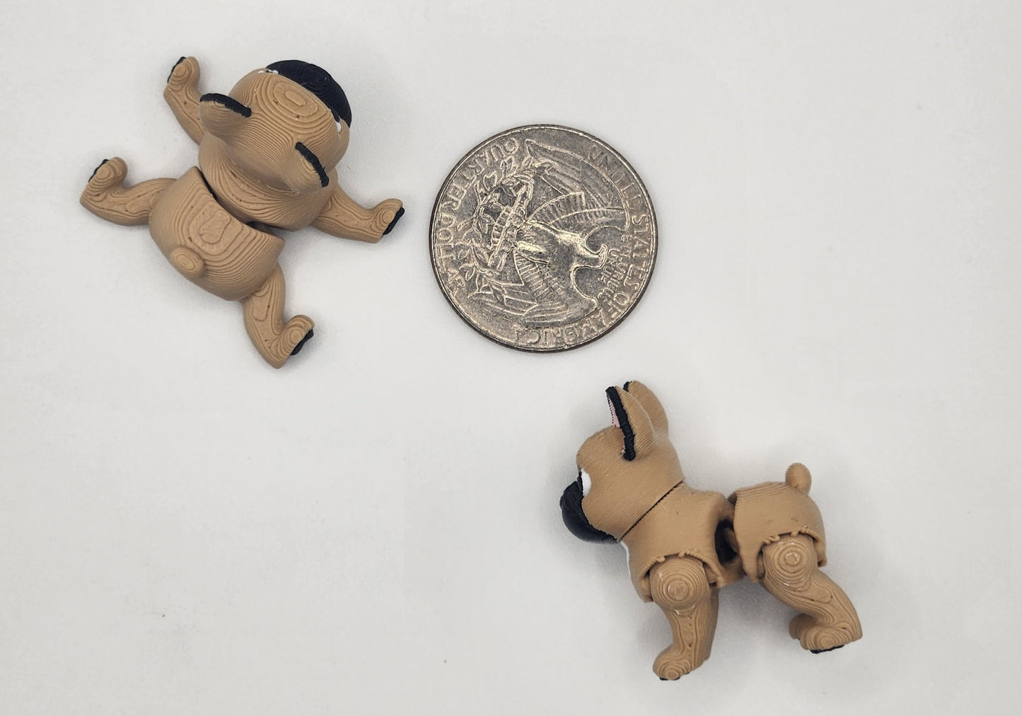 French Bulldog Dog Fidget Animal