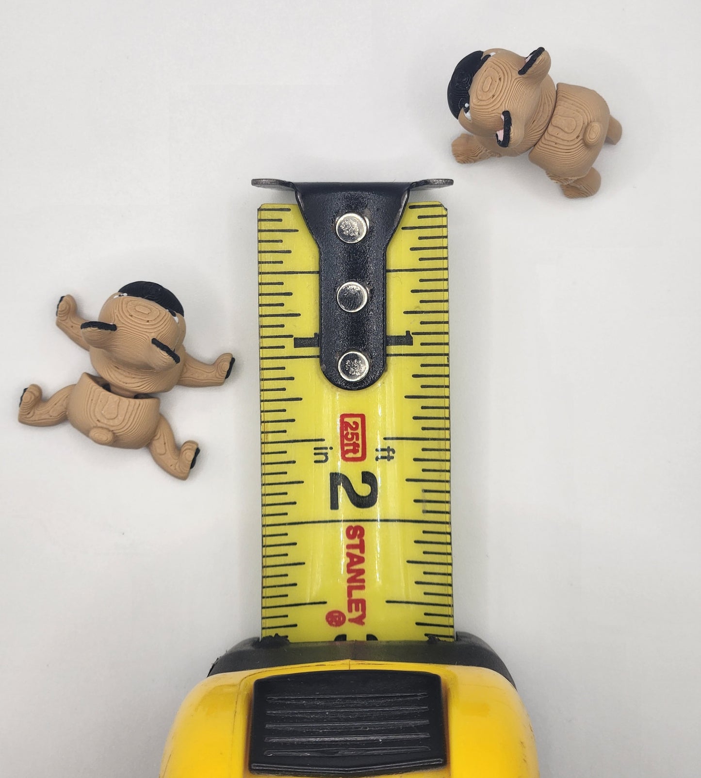 French Bulldog Dog Fidget Animal