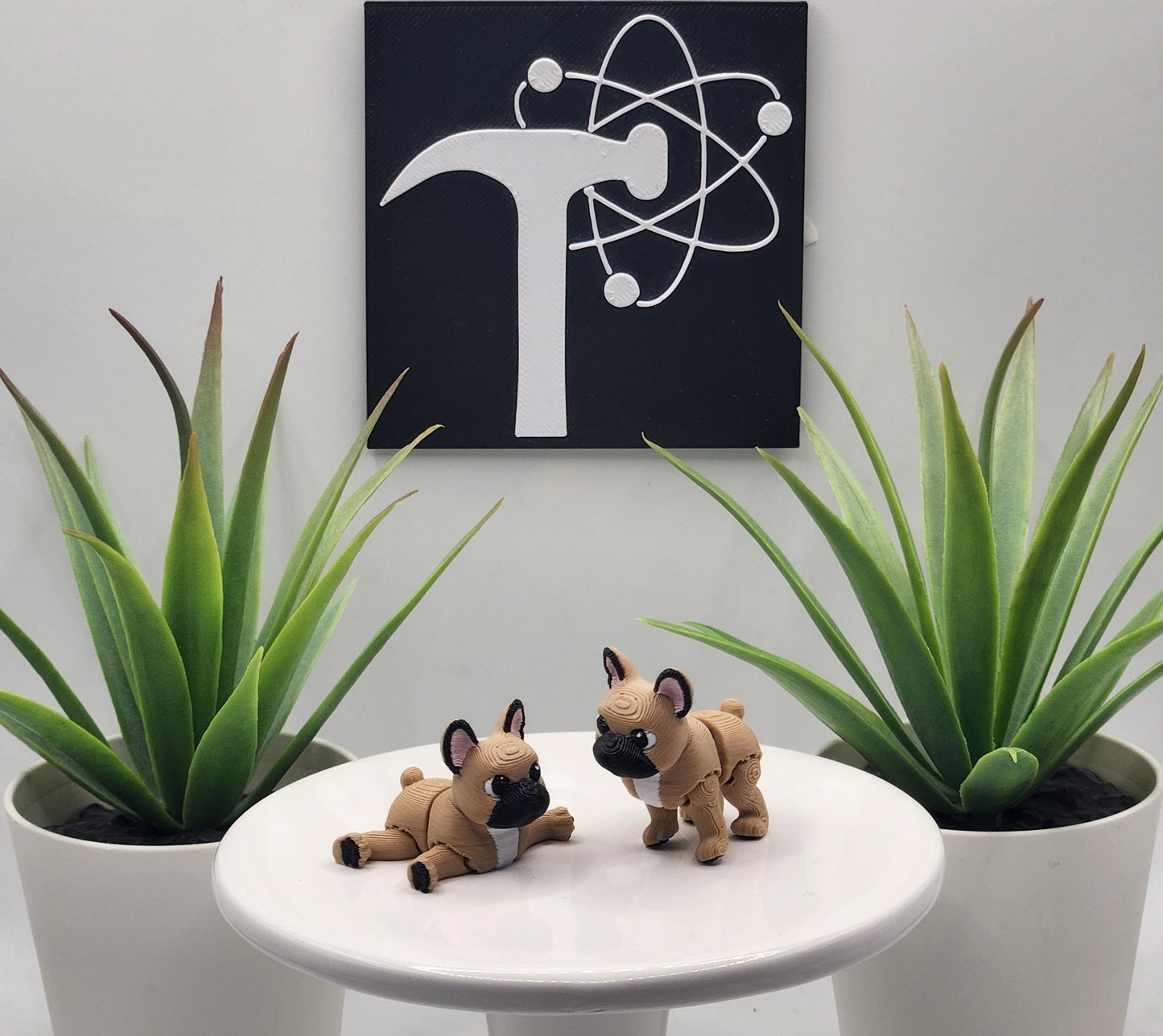 French Bulldog Dog Fidget Animal