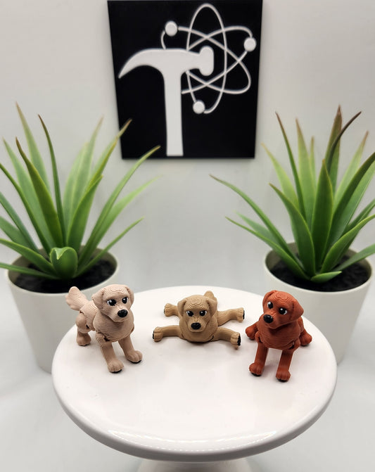 Golden Retriever Dog Fidget Animal