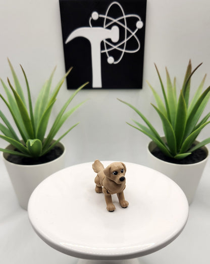 Golden Retriever Dog Fidget Animal