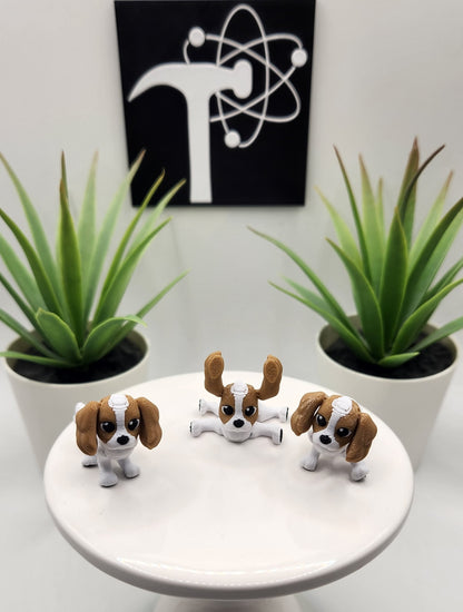 King Charles Spaniel Dog Fidget Animal