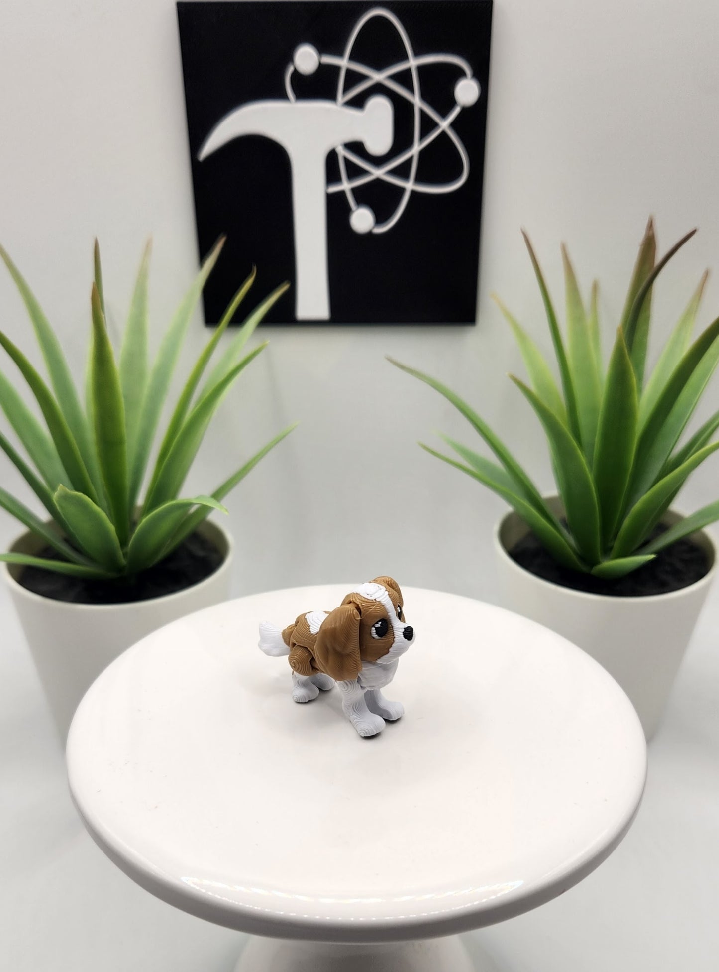 King Charles Spaniel Dog Fidget Animal