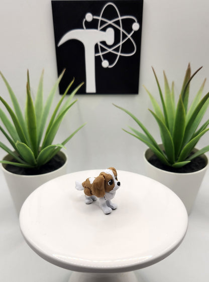 King Charles Spaniel Dog Fidget Animal
