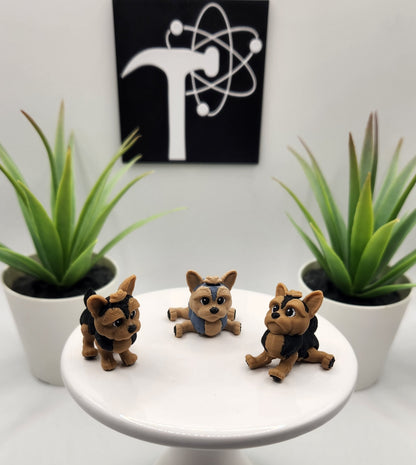 Yorkshire Terrier, Yorkie, Dog Fidget Animal