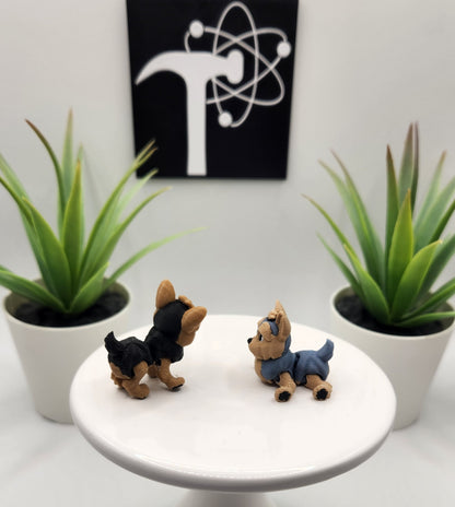 Yorkshire Terrier, Yorkie, Dog Fidget Animal